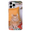 sari kedi resimli telefon kabi