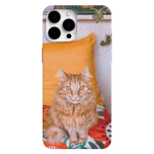 Sarı Kedi Tasarımlı Telefon Kılıfı